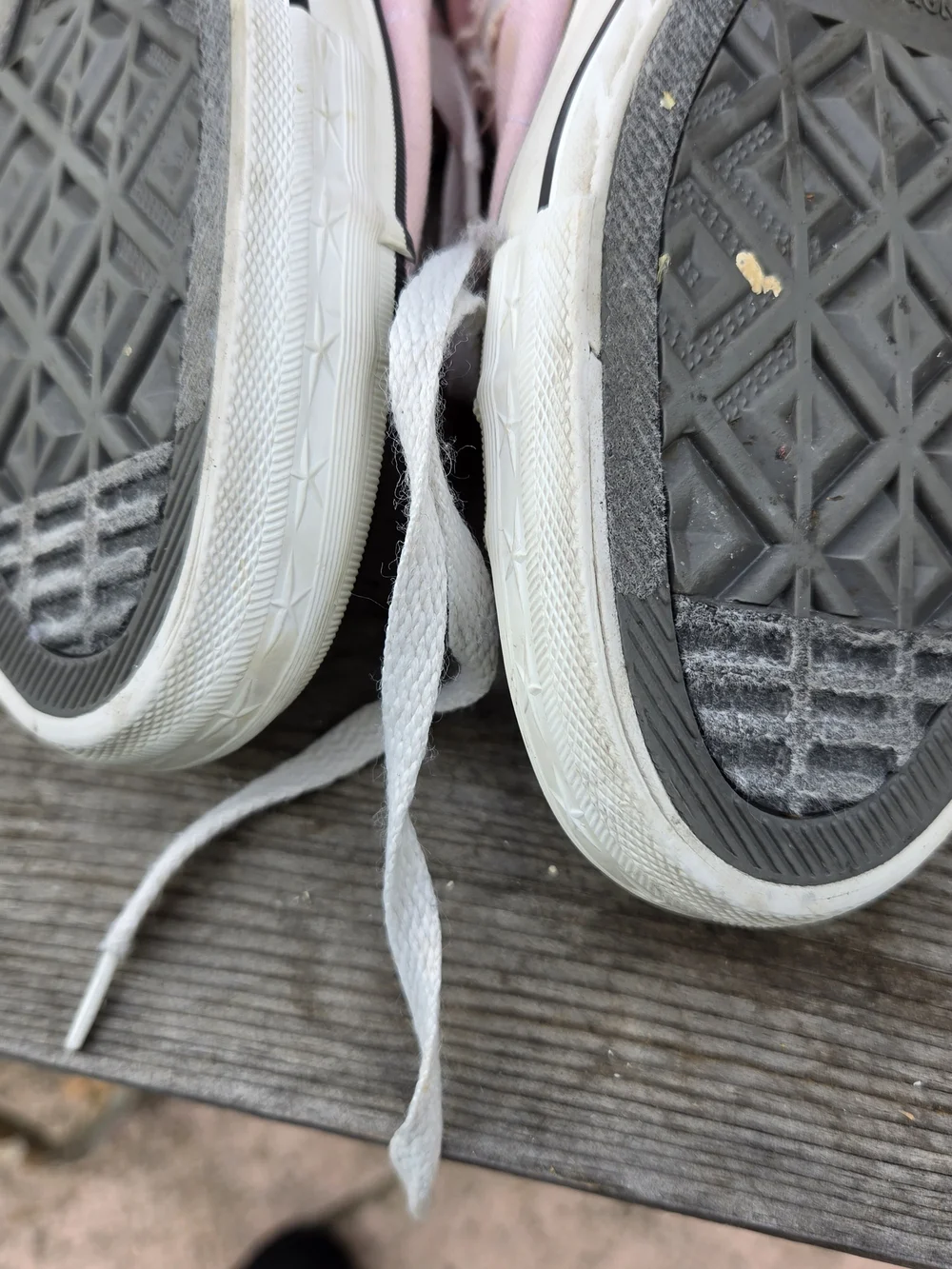 Converse Women's Pink Canvas Low-Top Sneakers